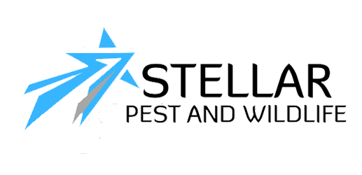 Stellar Pest Control Logo